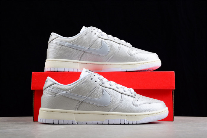 nike sb dunk low  dx3197-095