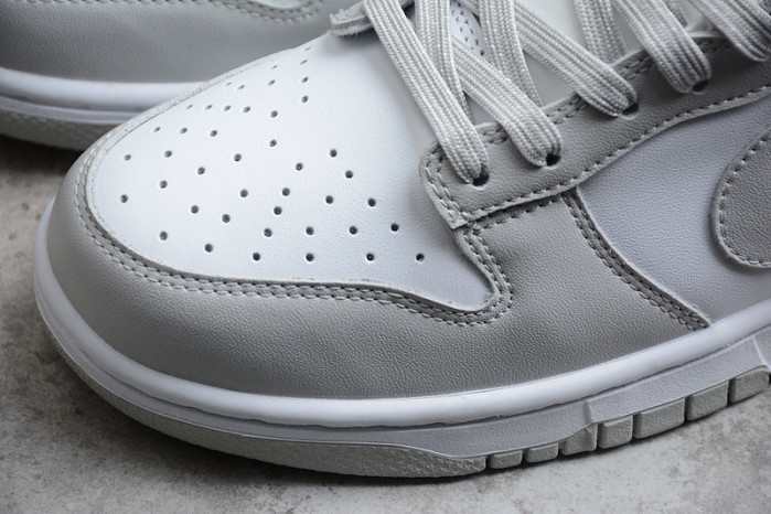 nike dunk low retro  dd1391-103