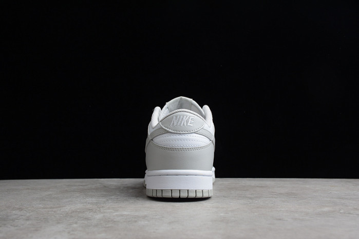 nike dunk low retro  dd1391-103