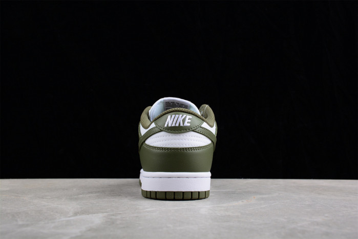nike dunk low  dd1503-120
