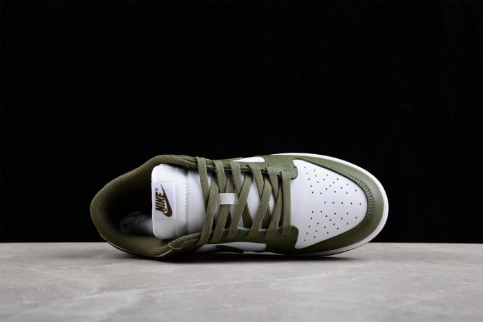 nike dunk low  dd1503-120