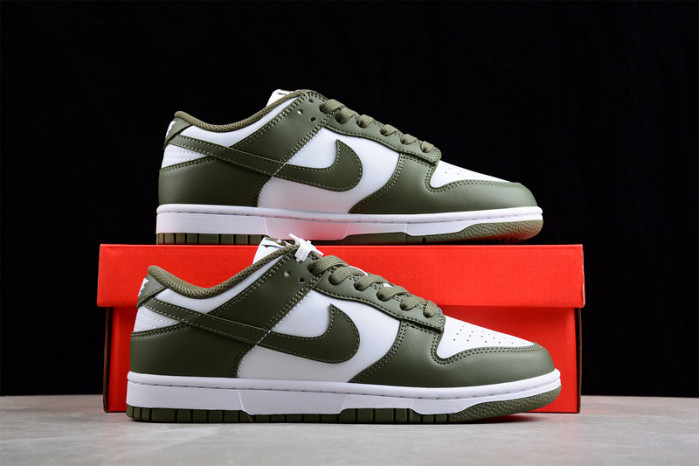 nike dunk low  dd1503-120