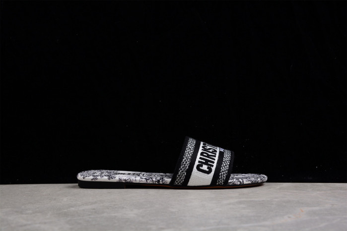 D*or  slides  ds-001