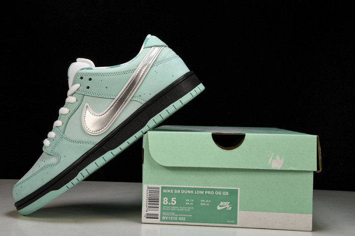 nike dunk low  bv1310-303