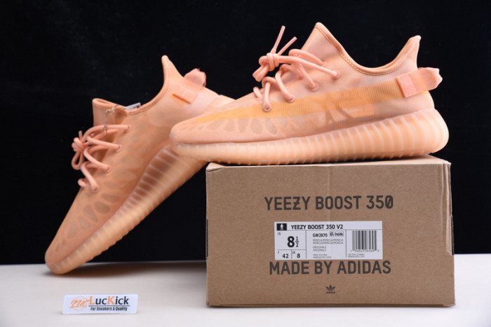 Y**zy boost 350 v2 gw2870