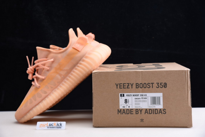 Y**zy boost 350 v2 gw2870