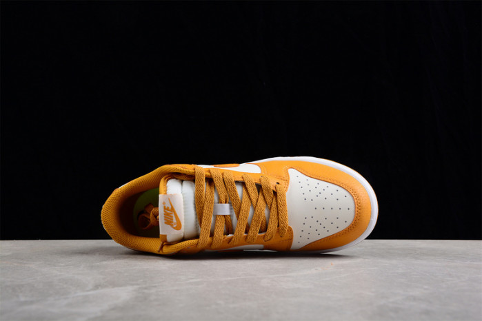 nike sb dunk low  dn1431-001