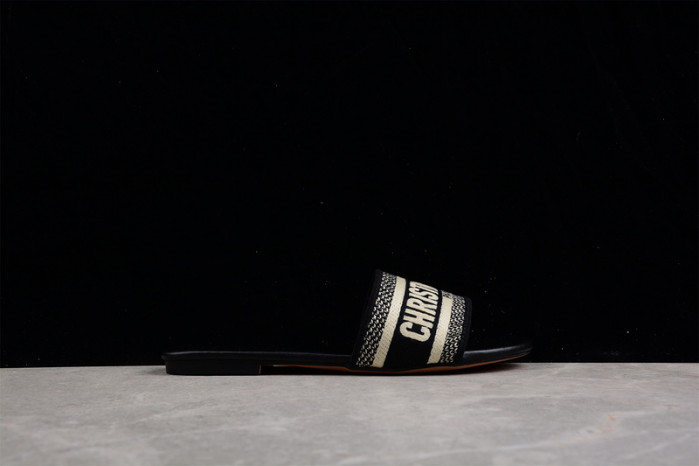 D*or slides ds-005