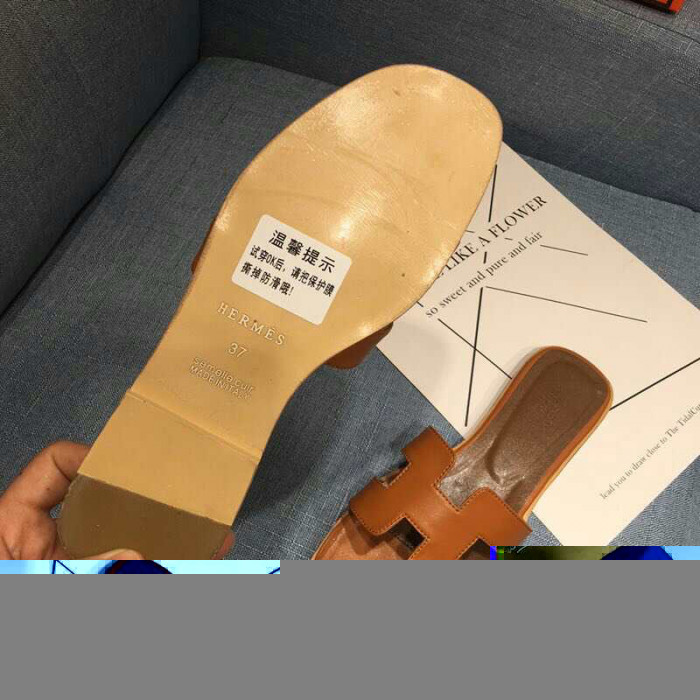 H**mes  hs-0027