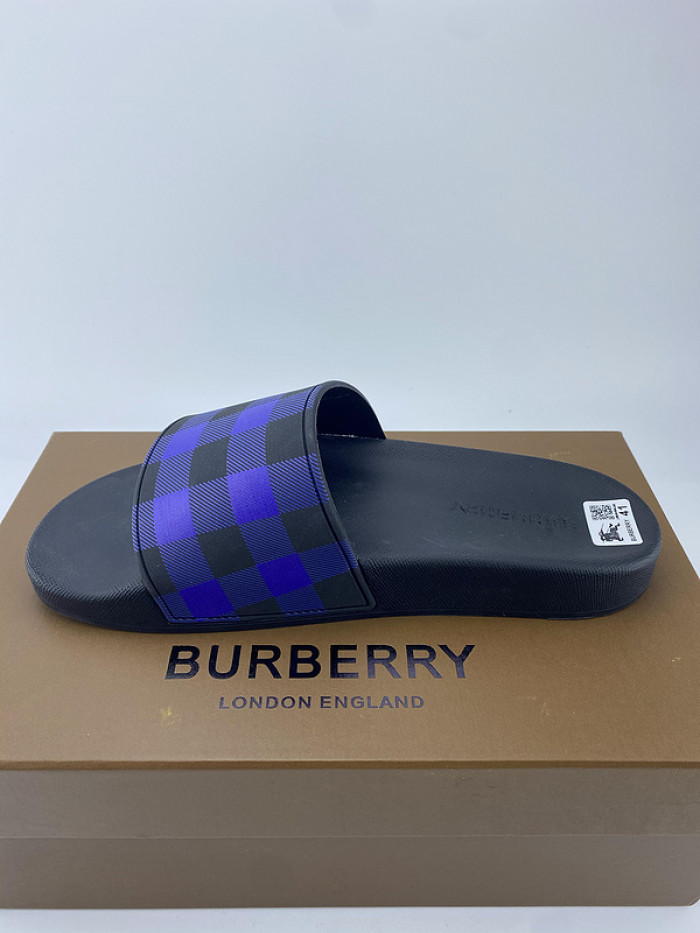 bur slide  burl-003
