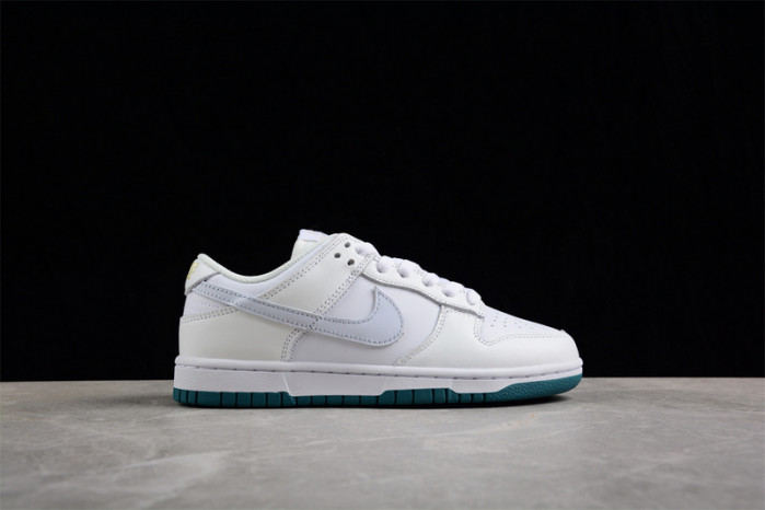 nike sb dunk low  fd9911-101