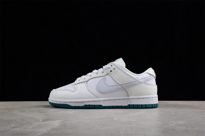 nike sb dunk low  fd9911-101