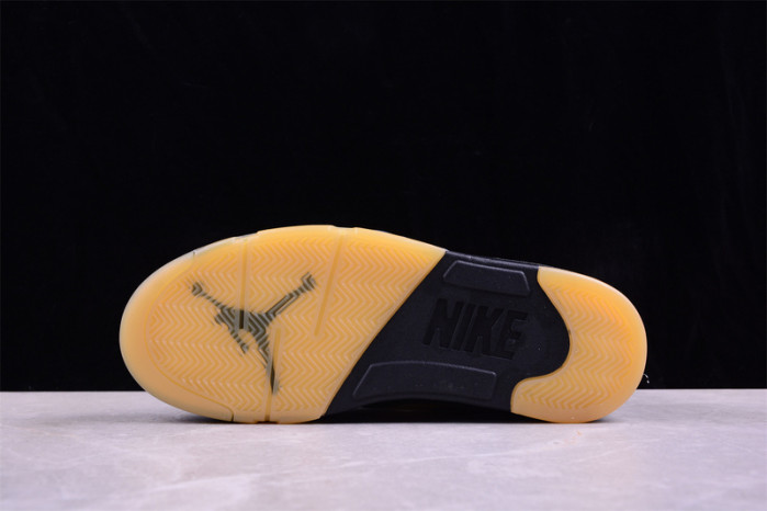 air jordan 5 low  fz5758-003